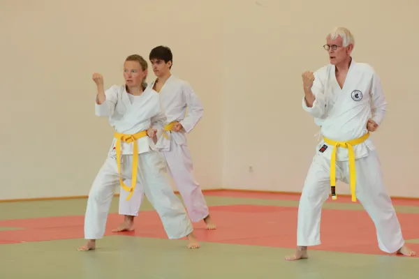 Erwachsene trainieren Karate