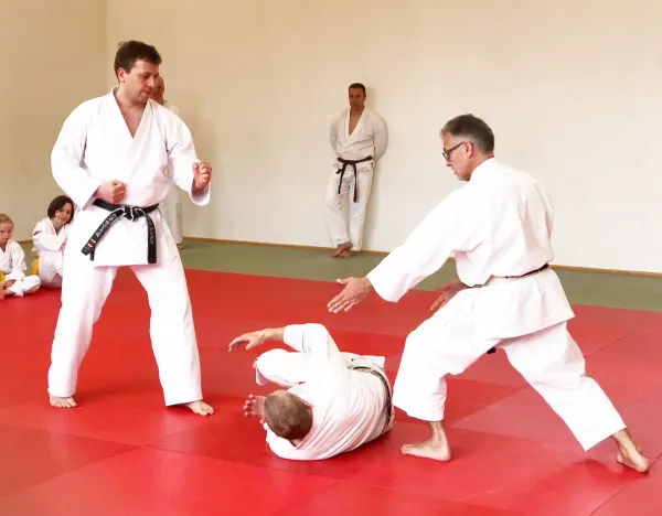 Erwachsene trainieren Karate