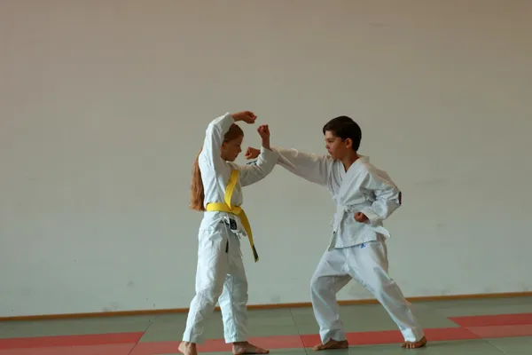Karate Kinder trainieren