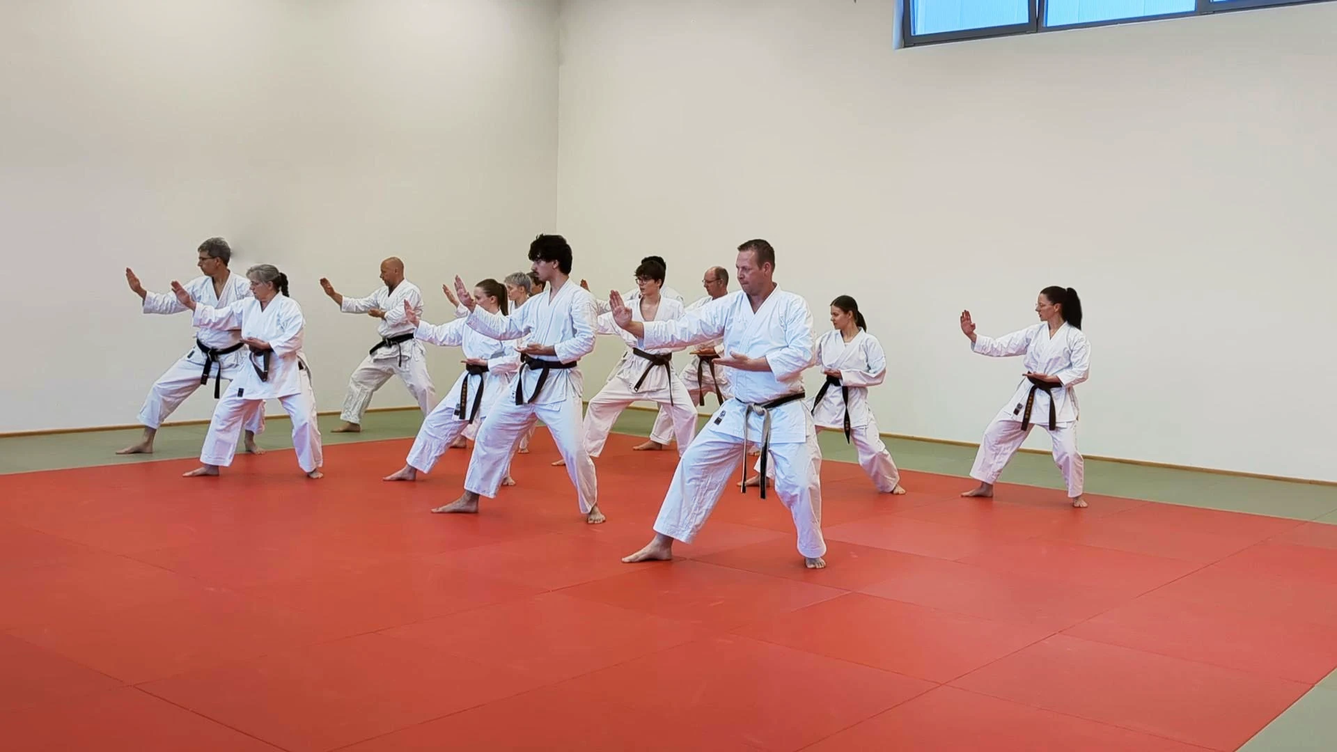 Sonntagstraining Heian Shodan